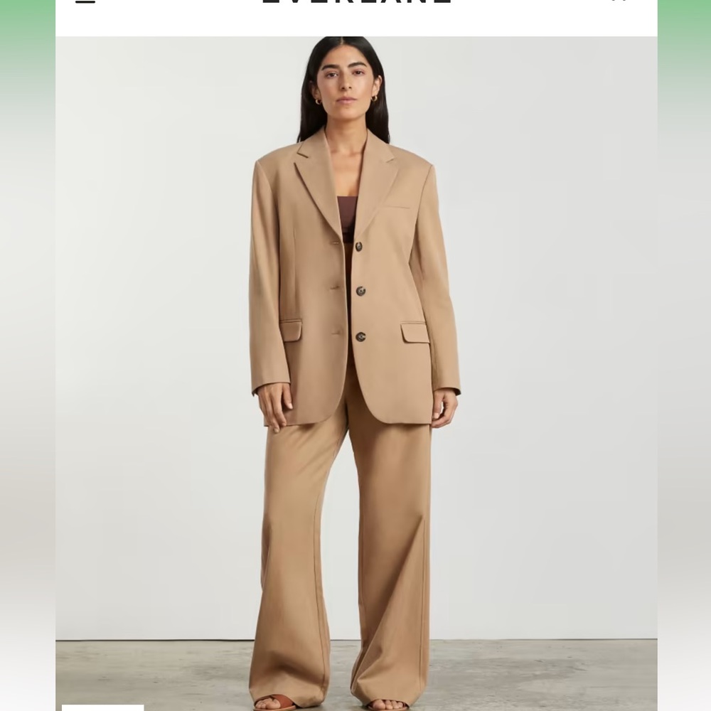 The ‘80s Blazer Everlane Size 2 NWOT